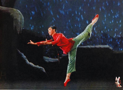 怎么买假的塞尔维亚护照扫描件